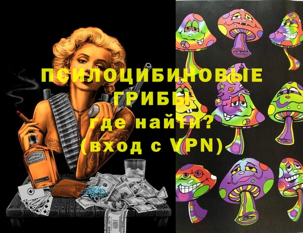 мдпв Покачи