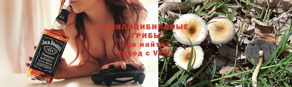 мдпв Покачи