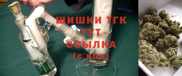 стаф Абинск